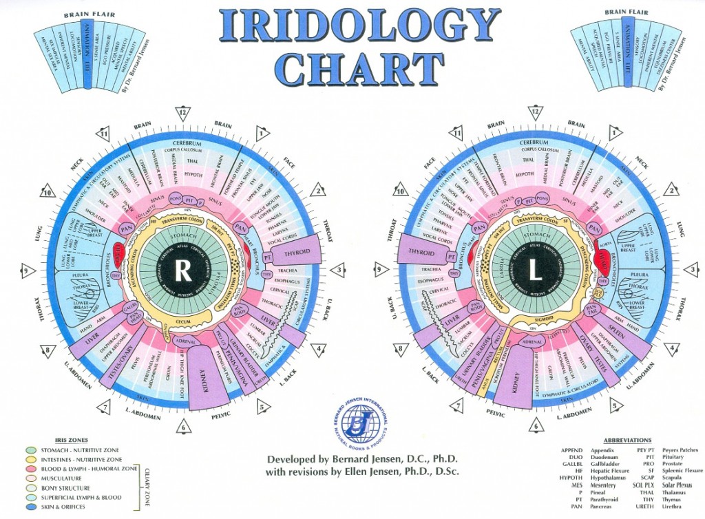 iridology_chart_large